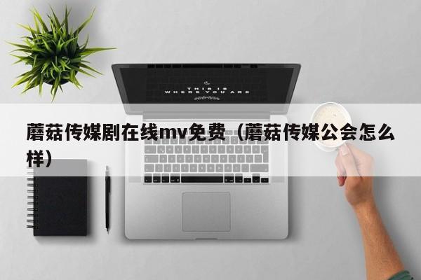 蘑菇传媒剧在线mv免费（蘑菇传媒公会怎么样）