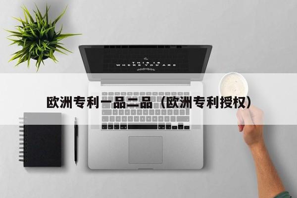 欧洲专利一品二品（欧洲专利授权）