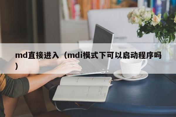 md直接进入（mdi模式下可以启动程序吗）