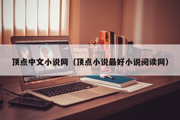 顶点中文小说网（顶点小说最好小说阅读网）