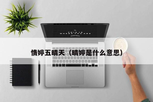 情婷五晴天（晴婷是什么意思）