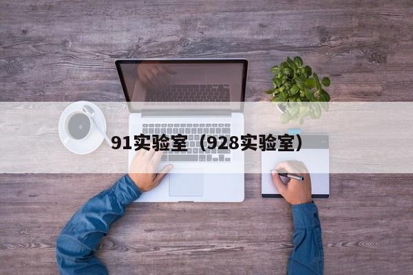 91实验室（928实验室）